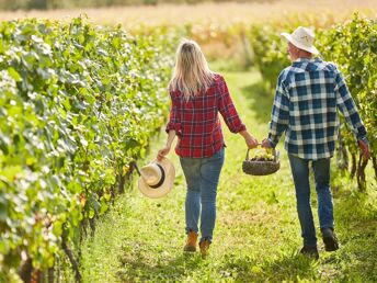 Auszeit im steirischen Weinort Klöch inkl. Weinverkostung | 3 Nächte