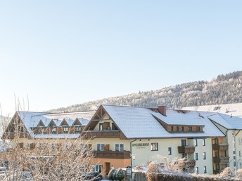 Entspannende Tage in der Steiermark inkl. Frühstück & GenussCard | 1 Nacht
