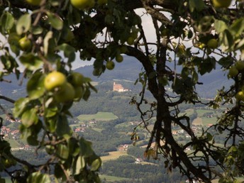 Streicheleinheiten im steirischen Pöllauberg inkl. Verwöhnpension & GenussCard | 3 Nächte