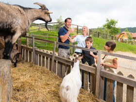 Streicheleinheiten im steirischen Pöllauberg inkl. Verwöhnpension & GenussCard | 2 Nächte