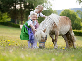Streicheleinheiten im steirischen Pöllauberg inkl. Verwöhnpension & GenussCard | 2 Nächte