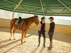 Streicheleinheiten im steirischen Pöllauberg inkl. Verwöhnpension & GenussCard | 2 Nächte