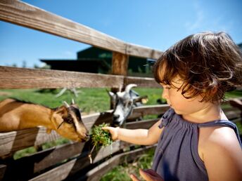 Familienurlaub in Lutzmannsburg MIT Frühstück und MIT Therme | 5 volle Tage | 4 Nächte