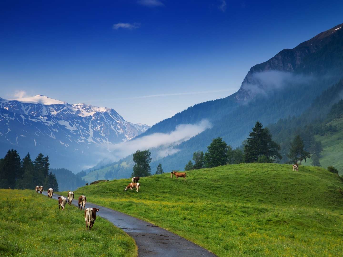 Kurzurlaub Zell am See mit Großglockner Hochalpenstraße | 5 Nächte 