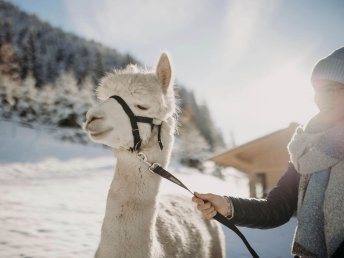 Erlebnistage in Großarl - Sommerurlaub mit Genuss | 6 Nächte