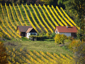 Relaxtage in Bad Radkersburg | 3 Nächte inkl. zweimaligem Thermeneintritt mit Verpflegung