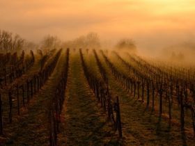 Relaxtage in Bad Radkersburg | 3 Nächte inkl. zweimaligem Thermeneintritt mit Verpflegung