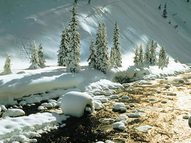 Erholungsurlaub zwischen Bergen & Seen in Lech | 1 Nacht