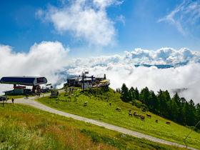Den Sommer auf 2 Rädern genießen - Aktivurlaub im Lungau inkl. Biketour | 3 Nächte