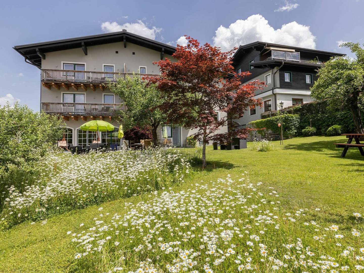 4 Tage Genuss Plus im Wohlfühlhotel inkl. Verpflegung mit Bergbahnfahrten, Erlebnisbäder, u.v.m....