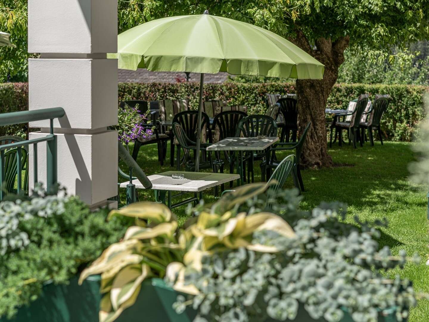 4 Tage Genuss Plus im Wohlfühlhotel inkl. Verpflegung mit Bergbahnfahrten, Erlebnisbäder, u.v.m....