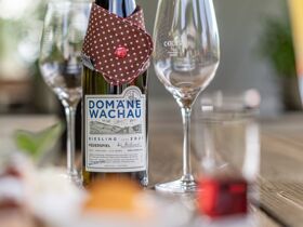 Wohlfühlurlaub in der Region Schladming Dachstein | 4 Tage mit Halbpension & Bergbahnfahrten