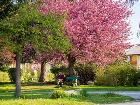 Sommerurlaub in der Steiermark - Badespaß im Stubenbergsee | 6 Nächte
