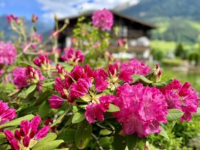 Herbst-Special in der Wildkogel Arena | 4 Nächte 