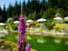 Herbst-Special in der Wildkogel Arena | 4 Nächte 