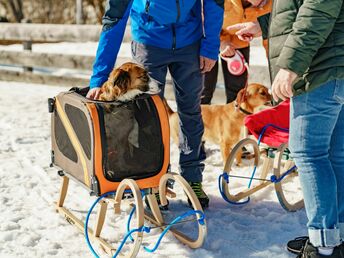 Romantischer Winterzauber mit 4 Pfoten im 4* Hotel Almfrieden