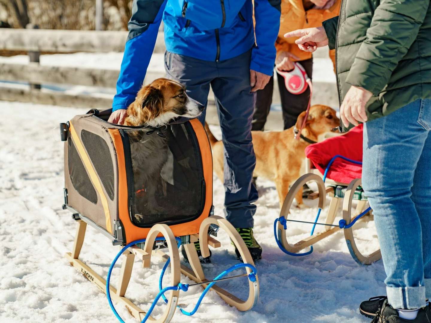 Romantischer Winterzauber mit 4 Pfoten im 4* Hotel Almfrieden