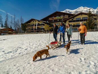 Romantischer Winterzauber mit 4 Pfoten im 4* Hotel Almfrieden