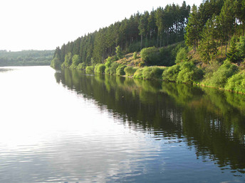 Bild 20 von 29