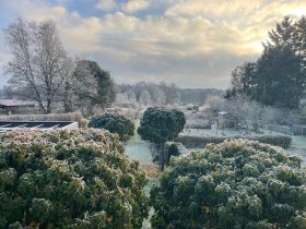 Zweisamkeit & Romantik im Landhaus inkl. Candle-Light-Dinner | 4 Tage 