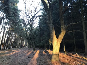 Bild 25 von 37