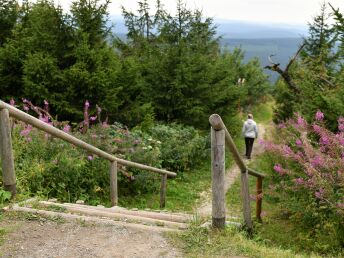 Bild 17 von 37
