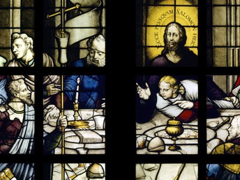 Bild 8 von 19