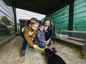 Familienurlaub in der Sonnentherme Lutzmannsburg -  3 Nächte/4 Tage mit Thermeneintritt