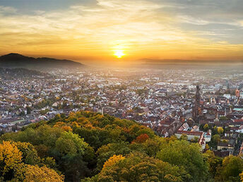 Bild 24 von 25