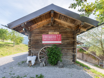 Appartementurlaub in Zell am See - Erholung inmitten der Berge | 2 Nächte