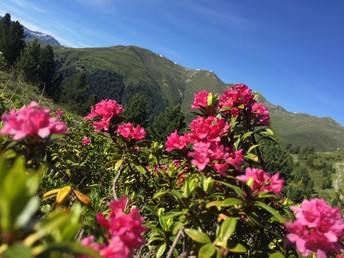 Bild 25 von 36