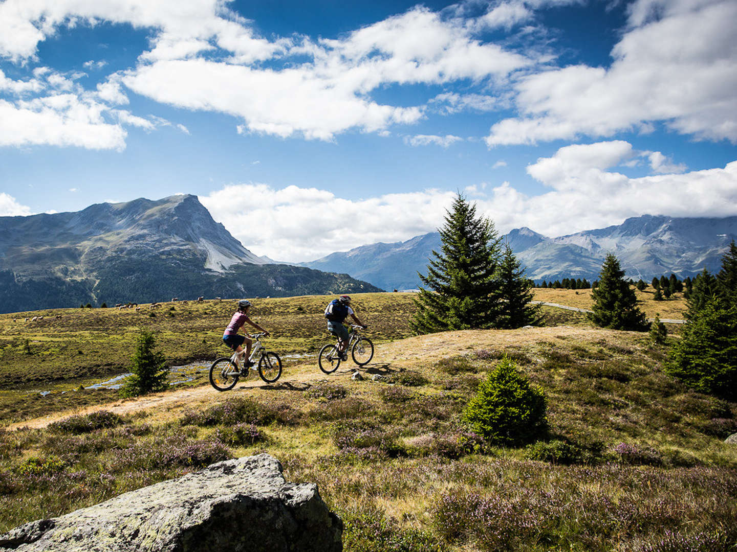 Sommerfrische in den Tiroler Bergen im 4*S Alpin ART & SPA Hotel Naudererhof 