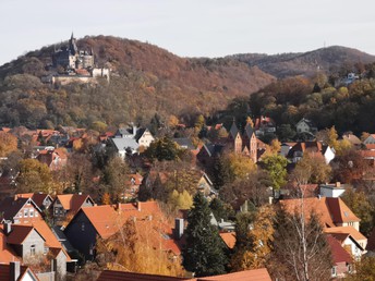 Mit Volldampf zum Brocken - 4 Tage im Harz