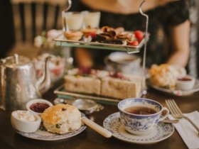 Frühlingserwachen auf dem Schlossgut Gross Schwansee