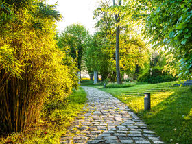 Frühlingserwachen auf dem Schlossgut Gross Schwansee