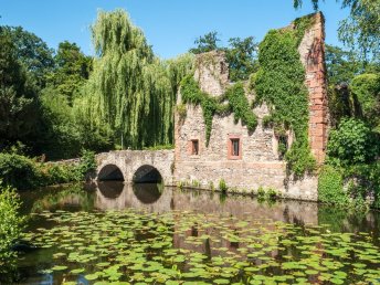 Das ist Wanderbar- Wandern in und um Aschaffenburg