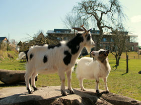 Nordsee - Ankommen & Wohlfühlen inkl. 1 x Flammkuchen