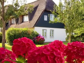 Exklusive Insel-Auszeit auf Föhr