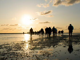 Exklusive Insel-Auszeit auf Föhr