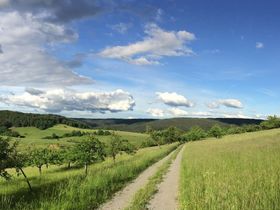 Gans & Wein 1 Nacht