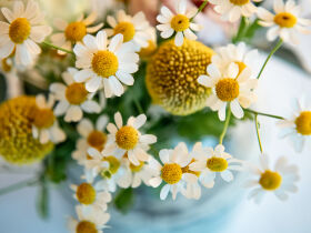 Wia frisch g´schlüpft - Auszeit vom Alltag inkl. Ziegenbutterpackung & Wellnessduschen | 3 Nächte