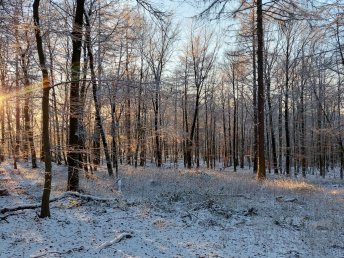 3 Tage - Fit durch den Winter in Barsinghausen bei Hannover