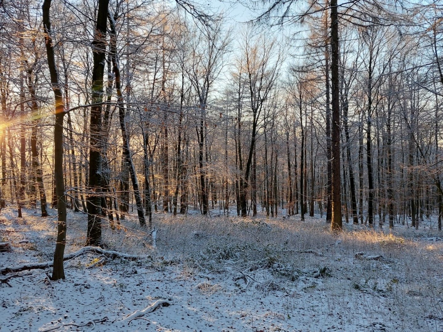2 Tage - Fit durch den Winter in Barsinghausen bei Hannover