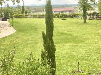 Romantische Auszeit in der Pfalz