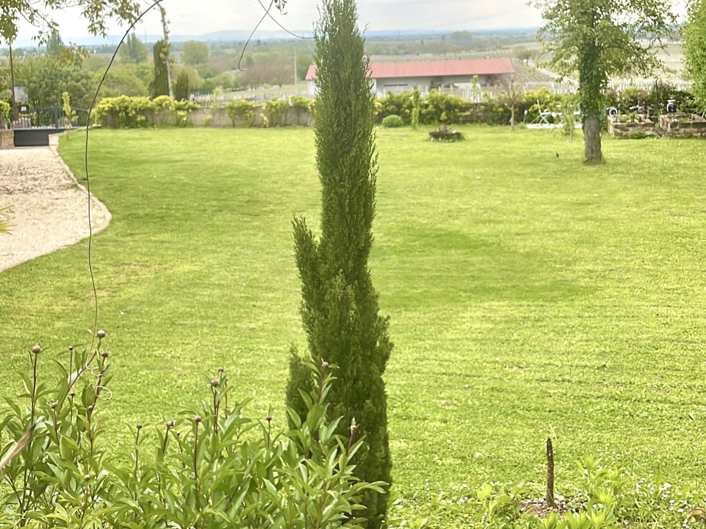 Romantische Auszeit in der Pfalz