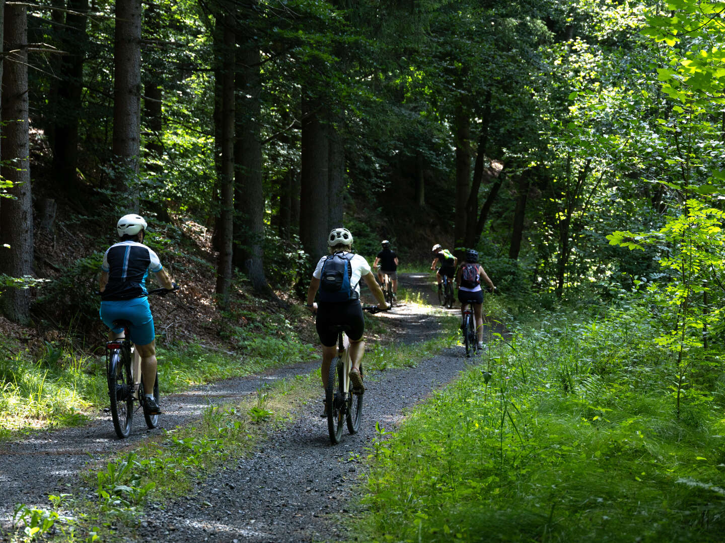 Natururlaub nahe Stausee Ottenstein im Waldviertel inkl. Abendbuffet | 7 Nächte