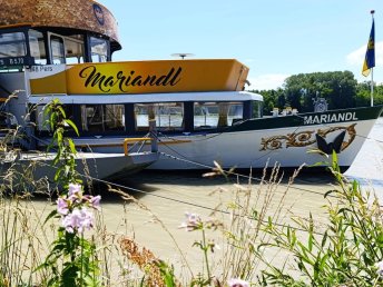 Natururlaub nahe Stausee Ottenstein im Waldviertel inkl. Abendbuffet | 7 Nächte