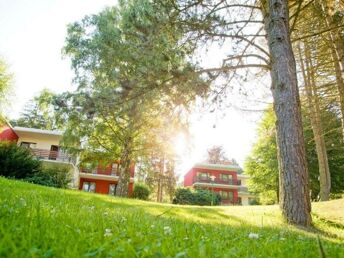 Auszeit im Waldviertel - Urlaub beim Stausee Ottenstein mit Frühstück | 5 Nächte