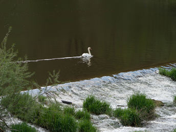 Bild 20 von 30
