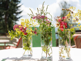 Familienurlaub in den Nockbergen - Kinderbetreuung & Ferienprogramm | 3 Nächte